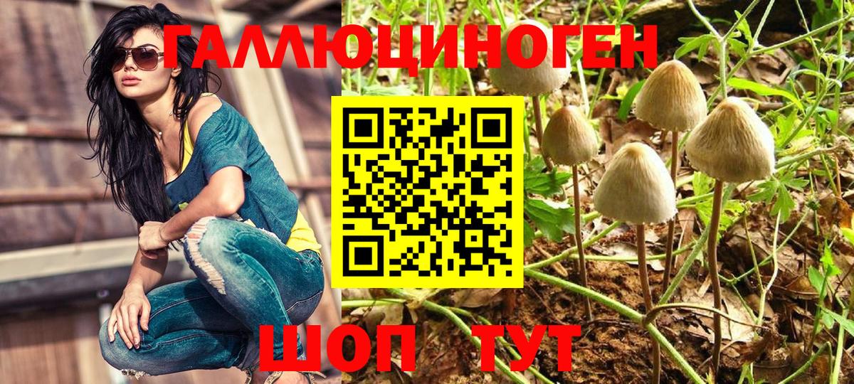 Псилоцибиновые грибы MAGIC MUSHROOMS  Вход с VPN  Коркино 